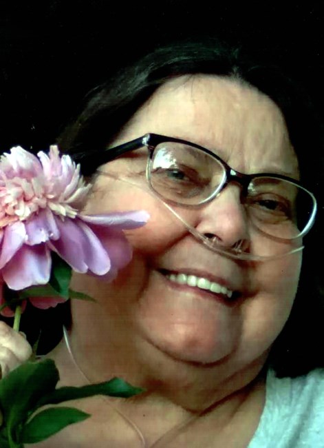 Obituary of Debra Lynn Sturtevant