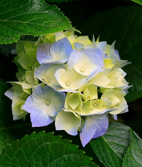 Obituary of Juanita Thompson