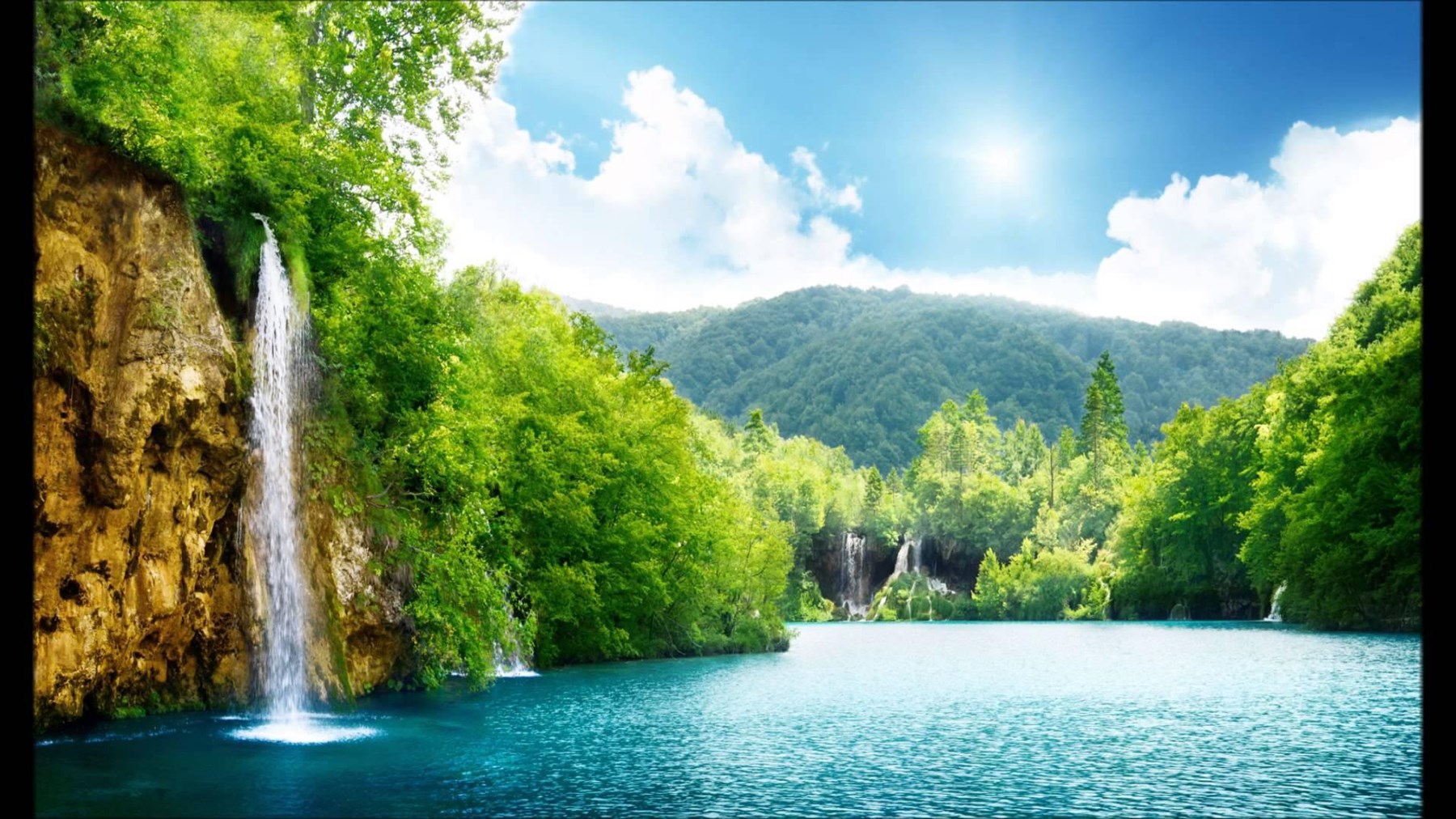 Obituary of Carl Luckenbach