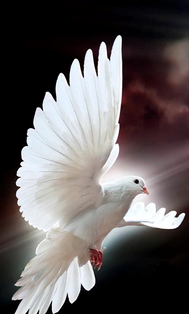 Obituary of Maria M. Alaniz.