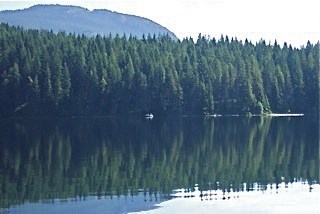 Obituary of Robert Harold NUTTALL