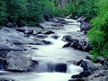 Obituary of David Flores-Pacheco