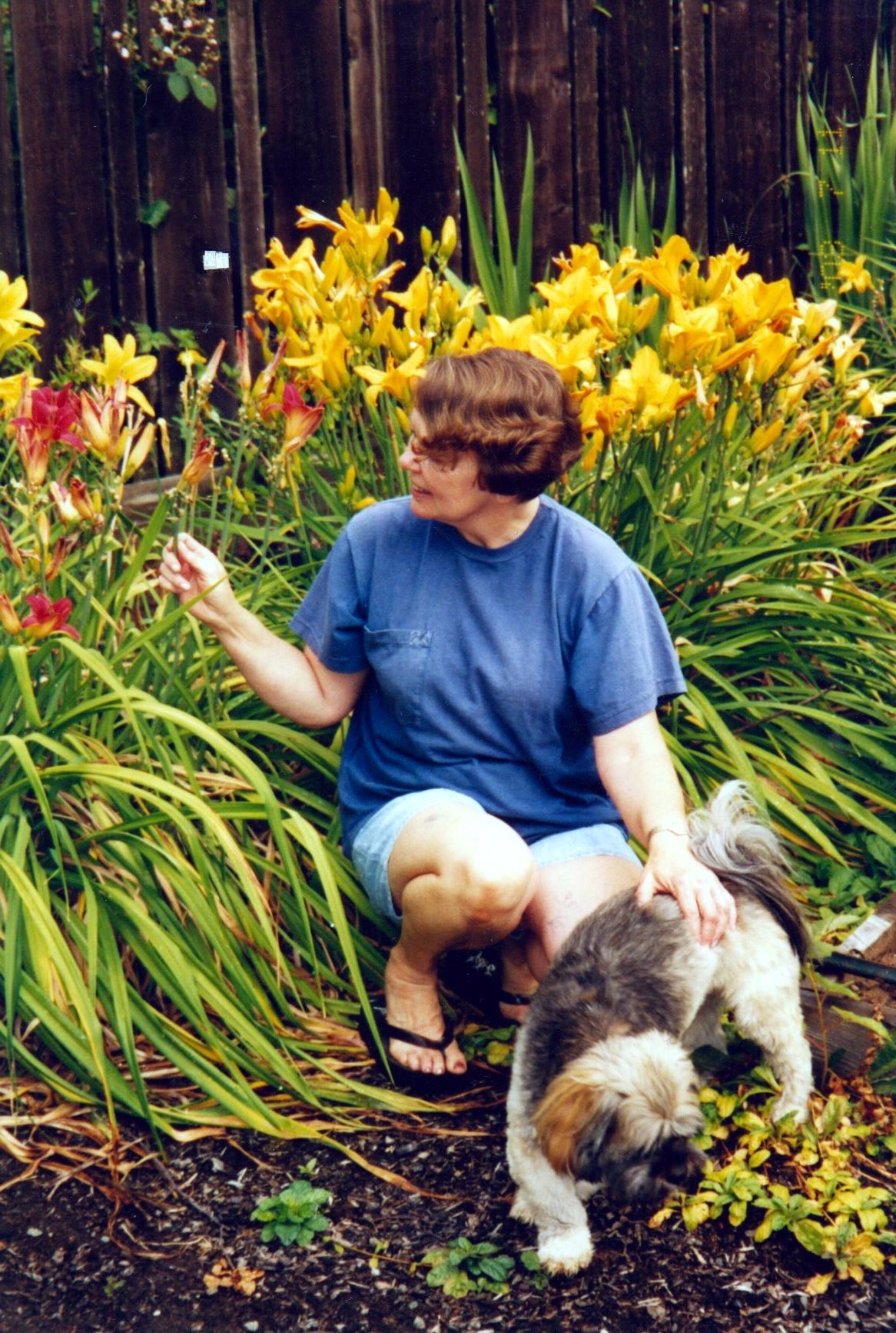 Judith Dickson Obituary - Portland, OR