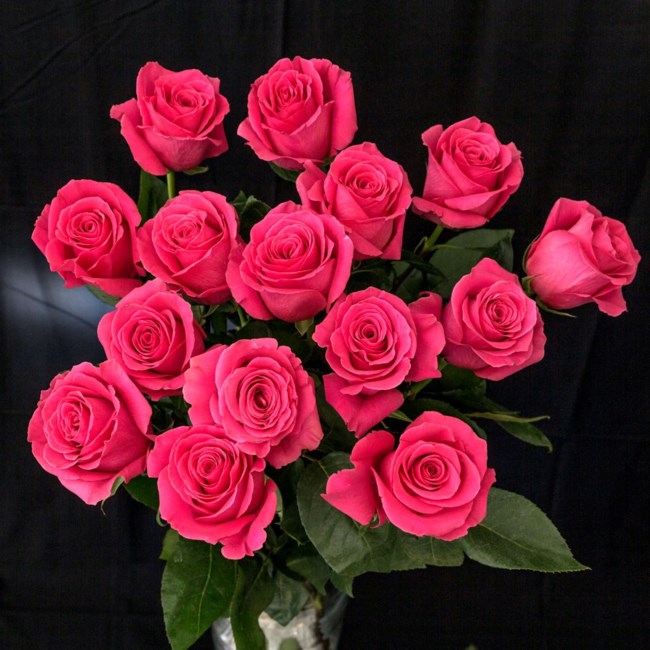 Obituary of Patricia Inez Downing