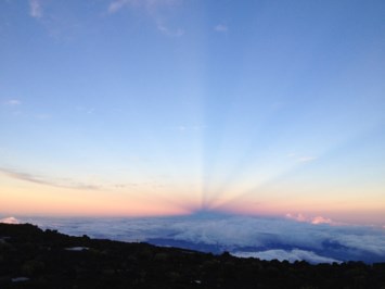 Obituary of Theresa Reiner