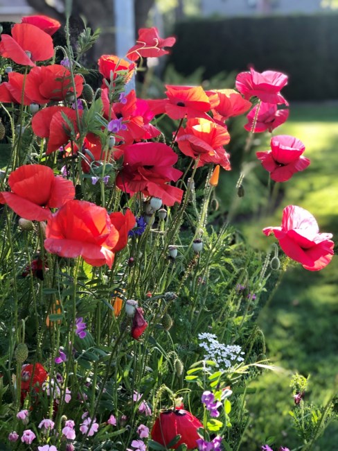 Obituario de Deborah Elaine Olson