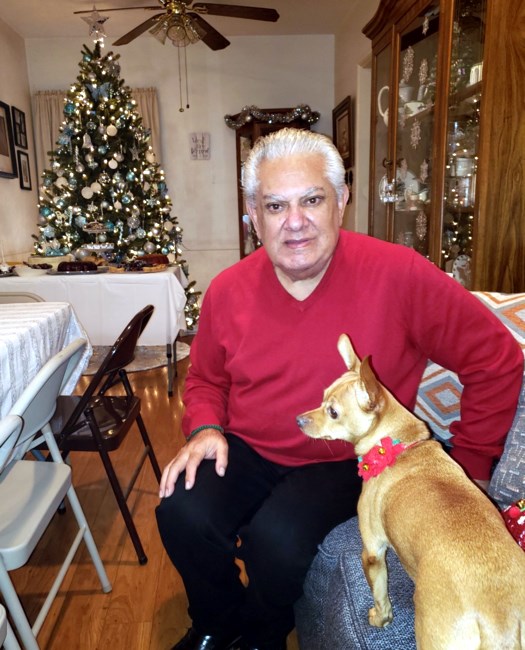 Obituary of David P. Bracamonte