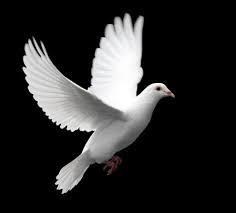 Obituary of Larry Stewart McEwen