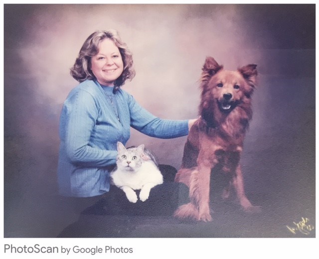 Obituary of Karen Diane Bray