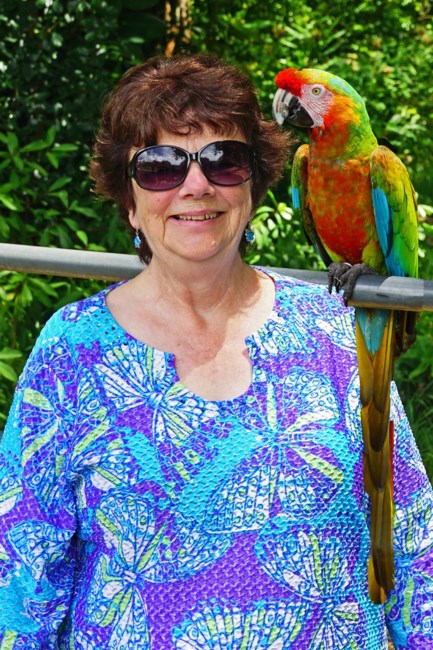 Obituary of Louise P. Warren