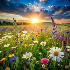 Obituary of Dr. Aftab Ahmad