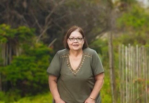 Obituary of Sue Ann Wolfe