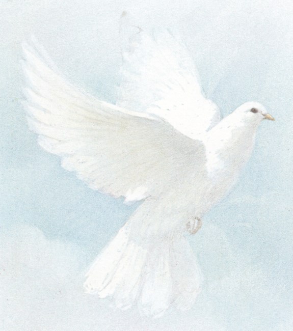 Obituary of Eva Grace Eckhoff