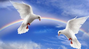 Obituary of June Carol CRAWFORD