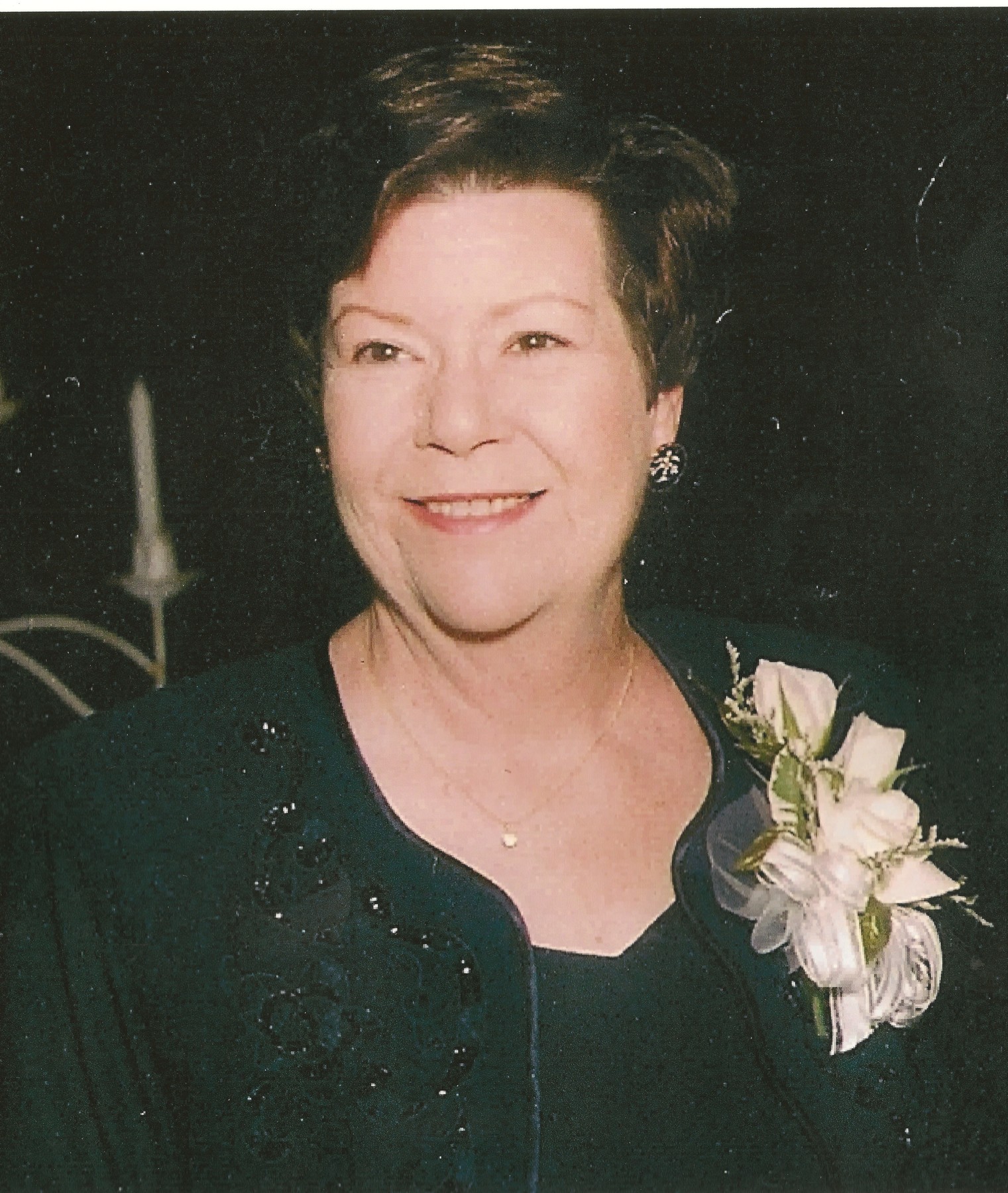 Diane Ploederl Obituary - 8ehrbfx