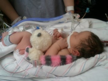 Obituary of Alana Elaine Larson