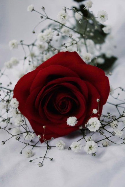 Obituary of Paul Shaflik