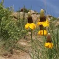 Obituary of Betty Jean Hadley