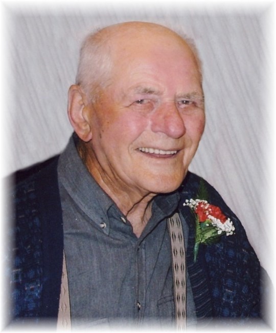 Obituary of Mr. Steve Wiggins