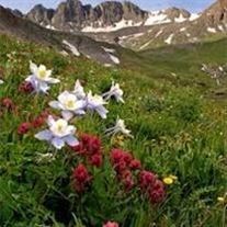 Obituary of Bethyne ""Beth Anne Werner