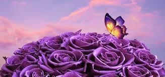 Obituary of Mary C. Fahr