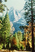 Obituary of Louis A. Cagnoni