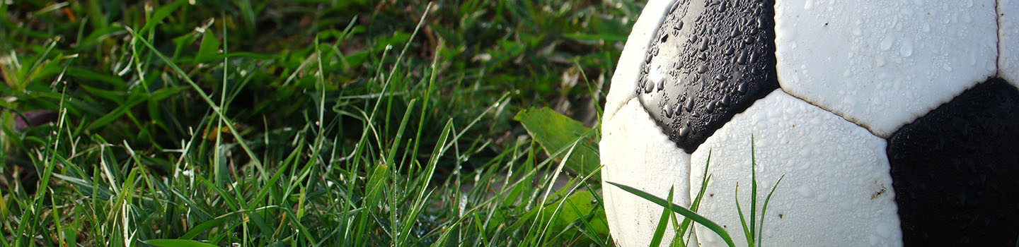 Obituary banner image